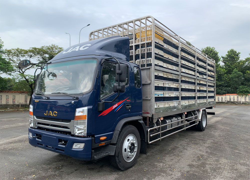 jac n800s chở gà
